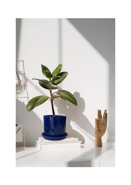 Tabaklı Lacivert Silindir Çömlek Saksı 22X22 cm