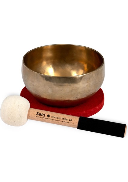 Harmony SE261 15 cm Hint Kasesi