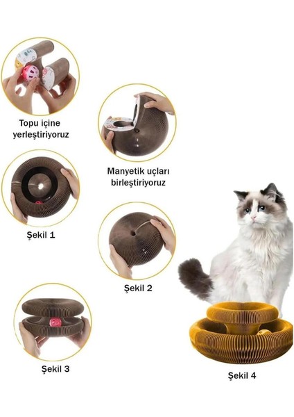 Kedi Tırmalama Oyun Arkadaşı modelleri