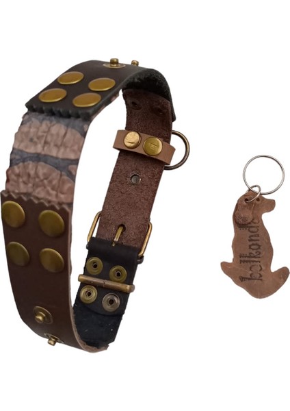 Köpek boyun tasması hakiki deri siyah kahverengi genişlik:3cm boyun ölçüsü:S.27-35cm dog collar T1-19S fırsatları