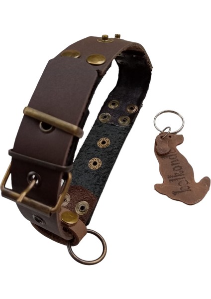 Köpek boyun tasması hakiki deri siyah kahverengi genişlik:3cm boyun ölçüsü:S.27-35cm dog collar T1-19S