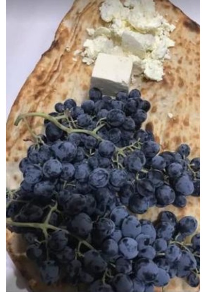 Şavak Tulum Peyniri (480GR) x 2 Adet