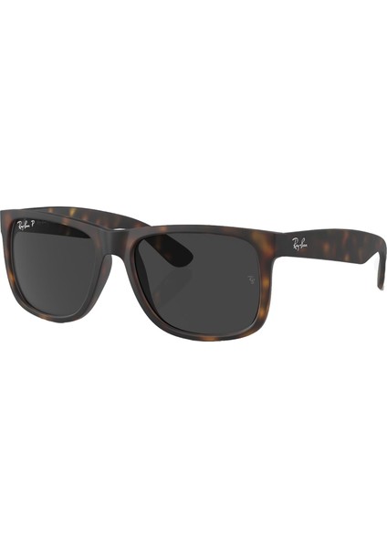RB4165 865/87 55 Polarize Unisex Güneş Gözlüğü