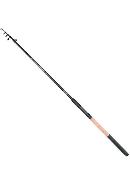 Carbonizer L-Allround Tele 40 300 10-30 Kamış