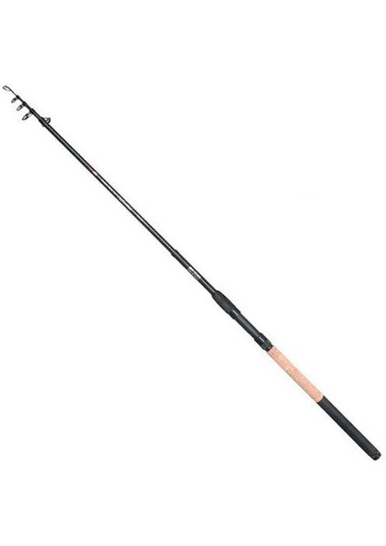 Carbonizer L-Allround Tele 40 300 10-30 Kamış