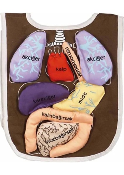 Organ Önlüğü Kreş-Çocuk-Anaokulu Eğitici Oyuncaklar