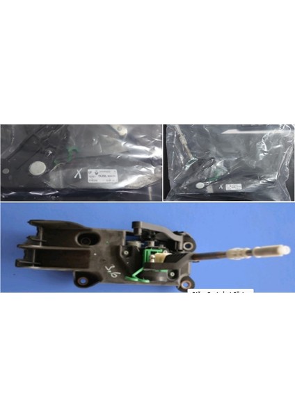 Vites Kumanda Kolu 341040980R Talısman (Lfd) New Sm6 (Lfd) 341040980R Gold