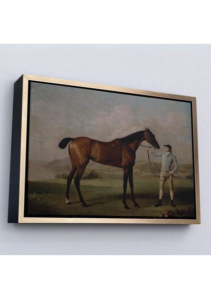 Çerçeveli George Stubbs'un Uzun Bacaklı At ve Jokeyi Tablosu - Molly Long-Legs With Her JOCKEY-7012