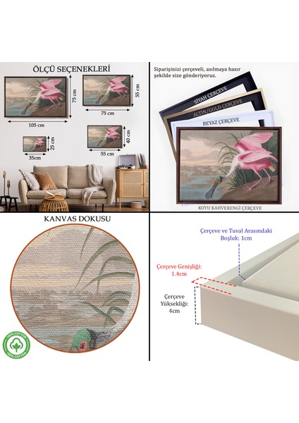Çerçeveli John James Audubon - Pembe Kaşıkçı Kuşu TABLO-7120 indirimleri