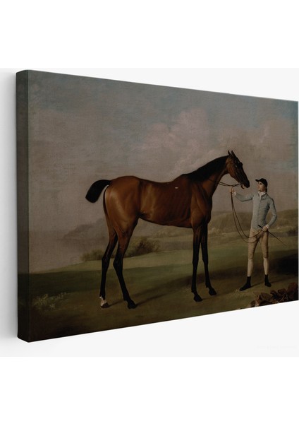 George Stubbs'un Uzun Bacaklı At ve Jokeyi Tablosu - Molly Long-Legs With Her JOCKEY-7012