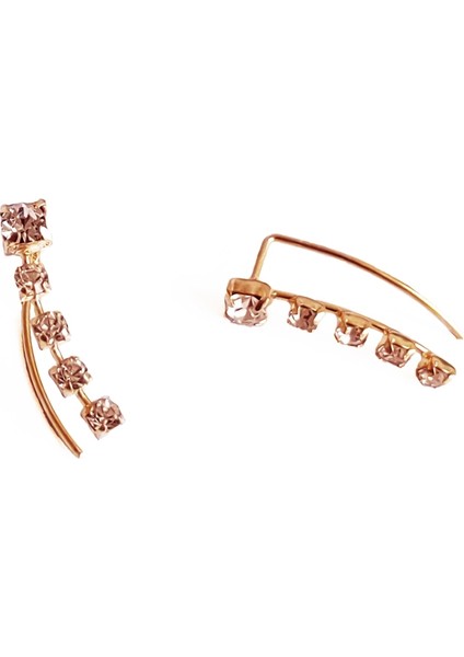 Özel Tasarım Beş Taşlı Gümüş Küpe - Rose Renk