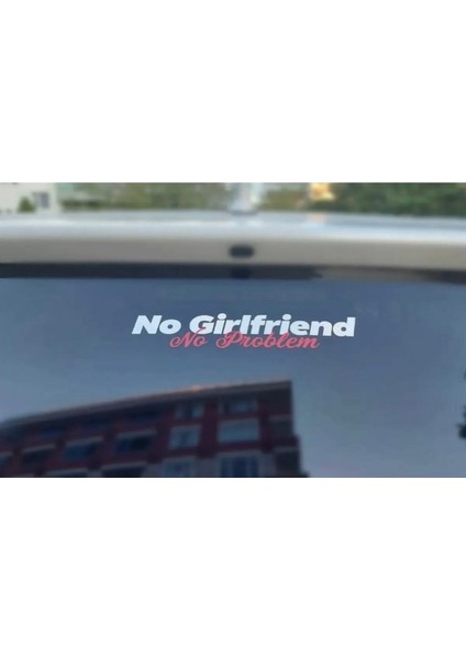 No Girlfriend No Problem Sticker