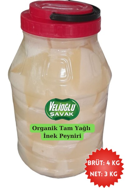 Tam Yağlı Organik Salamura Inek Peyniri (Brüt:4 kg Net:3 Kg)