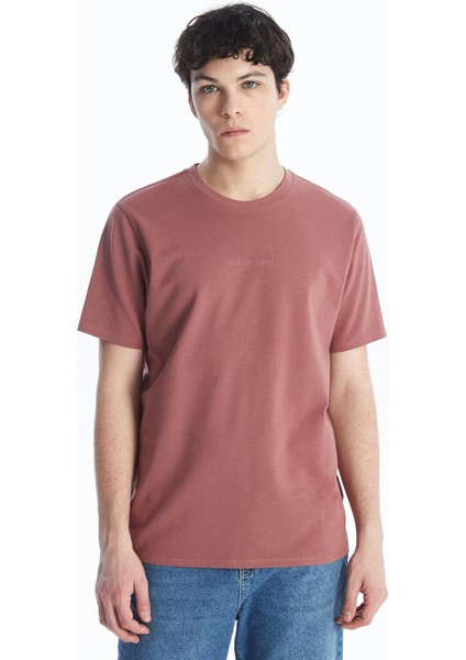 Lcw Casual Bisiklet Yaka Kısa Kollu Baskılı Erkek Tişört