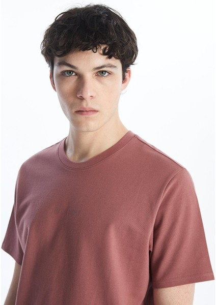 Lcw Casual Bisiklet Yaka Kısa Kollu Baskılı Erkek Tişört modelleri