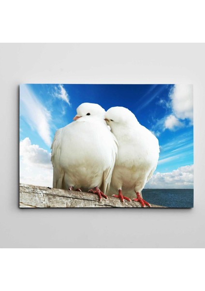 Beyaz Güvercinler Kanvas Tablo