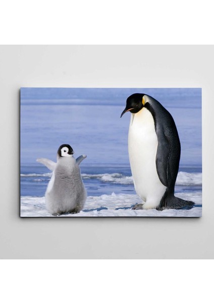 Sevimli Yavru Penguen Kanvas Tablo