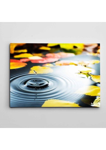 Su Damlası ve Yapraklar Kanvas Tablo
