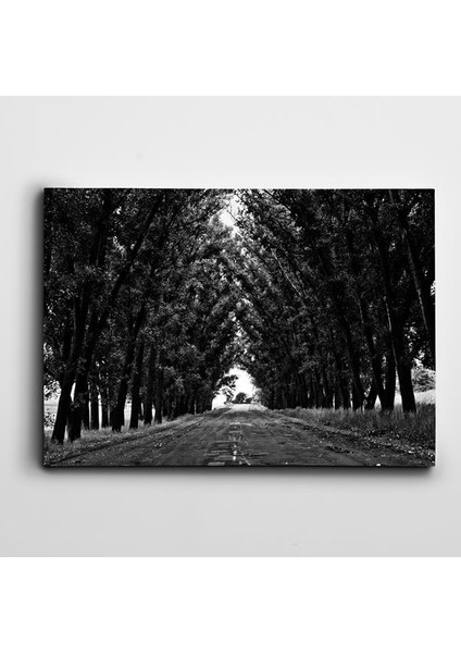 Yol ve Ağaçlar Kanvas Tablo