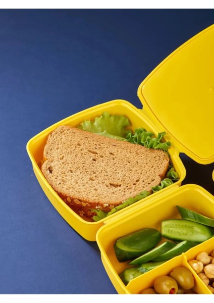 Kilit Kapaklı 2 Katlı 4 Bölmeli Kaşık ve Çatallı Kare Lunch Box & Beslenme Kutusu fırsatları