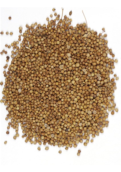 Kişniş 85G fiyatları