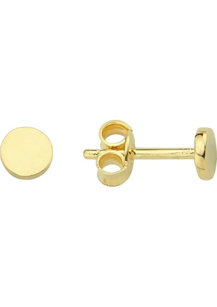 14 Ayar Altın Minik Yuvarlak Küpe 0,62 gr