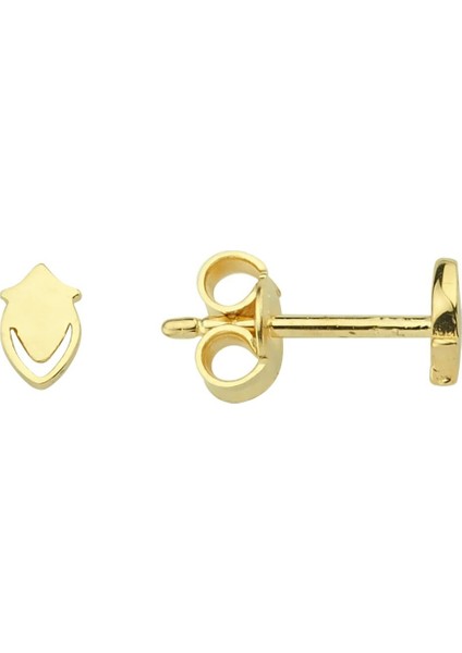 14 Ayar Altın Minik Küpe 0,49 gr
