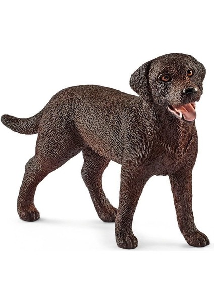 13834 Schleich - Dişi Labrador Retriever  +3 Yaş