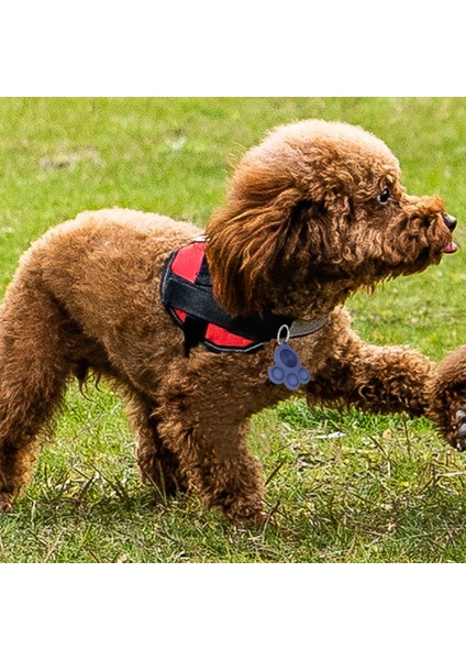Airtag Uyumlu Kedi Köpek Tasmasına Takılabilir Pati Tasarımlı Silikon Kılıf Anahtarlık