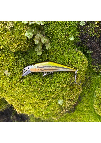 F Tarzı Sıcak Japon Li Pesca Akışı Balıkçılık Cazibesi Dg Batan Minnow Yapay Sert Yem Alabalık Levrek Pike Somon (Yurt Dışından) indirimleri