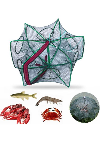 No.10 Stili Delikli Katlanmış Taşınabilir Altıgen Balık Ağı Kerevit Balık Otomatik Tuzak Karides Sazan Catcher Kafesleri Örgü Ağları Crabtrap (Yurt Dışından)