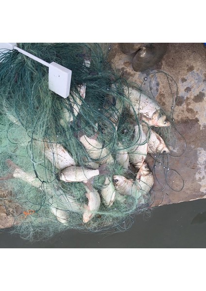 25 M Balık Ağı 3 Katmanlar Örgü Naylon Monofilament Dayanıklı Aksesuarlar Şamandıra Tuzağı (Yurt Dışından) modelleri