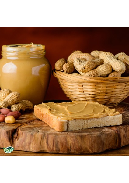 Fıstık Ezmesi 360 Gr. modelleri