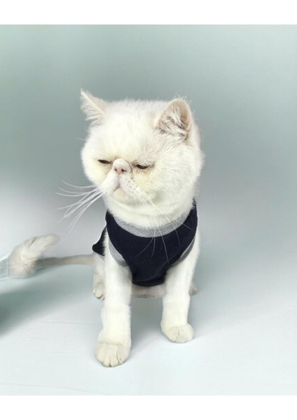 Navy Sports Atlet Kedi Kıyafeti Kedi Elbisesi fırsatları