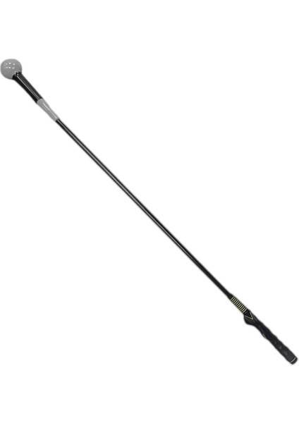 Trainer Stick Uygulama Kılavuzu Başlangıç Düzeyi Ş Düzeltici I Gri (Yurt Dışından)