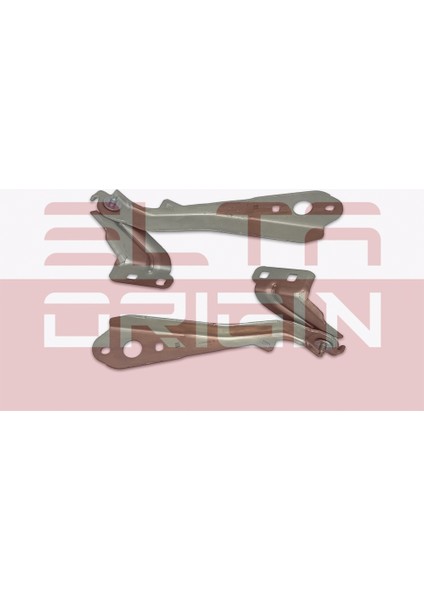 Kaput Menteşesi Sol O12010006E Master Iıı 654010006R Gold