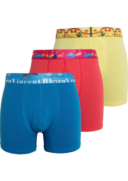 Erkek Boxer 6 Adet - Garden&extinction Run-On Series