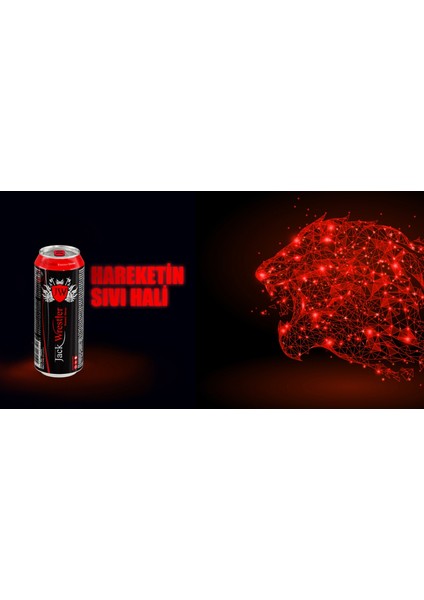 Enerji Içeceği 250 ml x 24 Adet