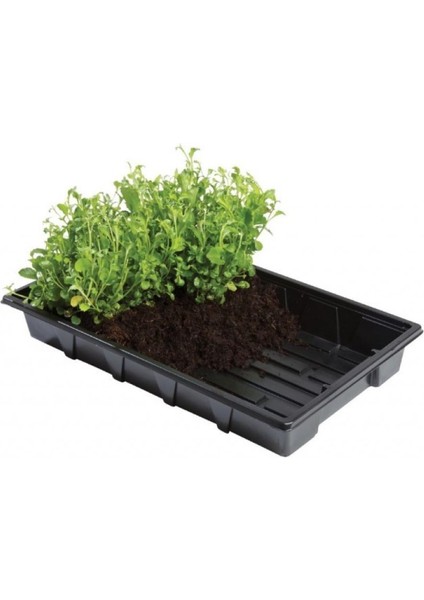Professional Tabla 37X23.5X5 cm Deliksiz 5 Adet
