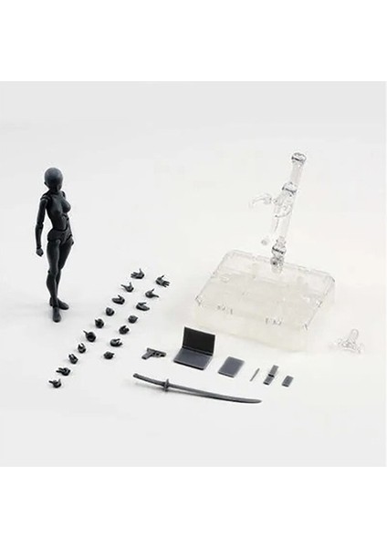 14CM Sketch Draw Male Female Movable Body Kun Body Chan Joint Pain Anime Figure Shf Action Figure Toy Model Draw Mannequin (Yurt Dışından)