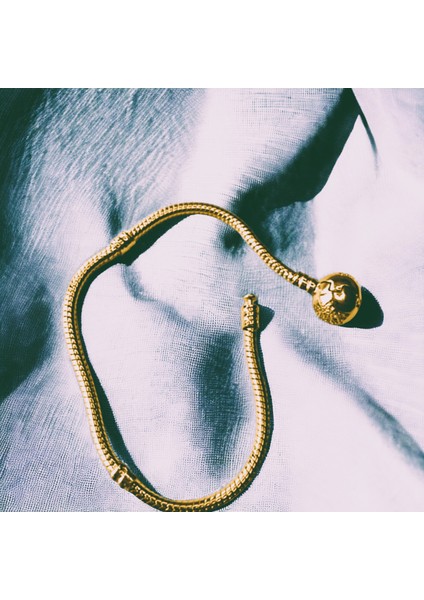 Çelik Gold Taşlı Yıldız Pandora Bileklik
