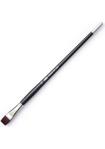 200f - 18 Siyah Sentetik Uzun Saplı Fırça