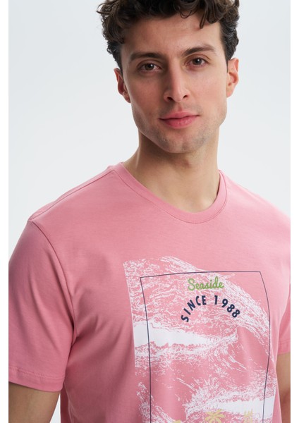 Erkek Regular Fit Penye Süprem Bisiklet Yaka Tişört Y27344407301 fiyatları