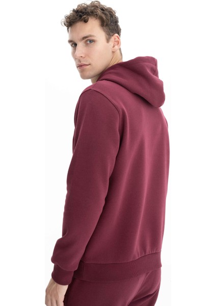 Erkek Baskılı 3 İplik Regular Fit Cepsiz Kapşonlu Sweatshirt K26254625801 fırsatları