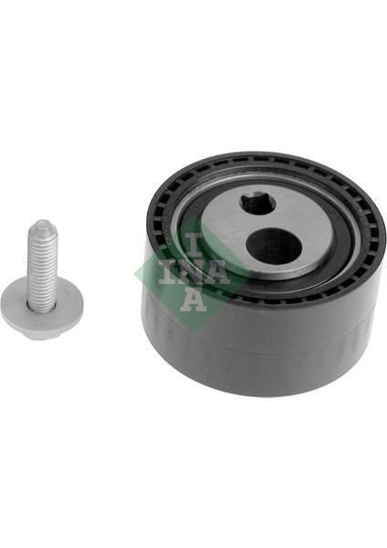 INA-531026410 Eksantrik Gergi Rulmanı Ayarlı P206-P306-P3...