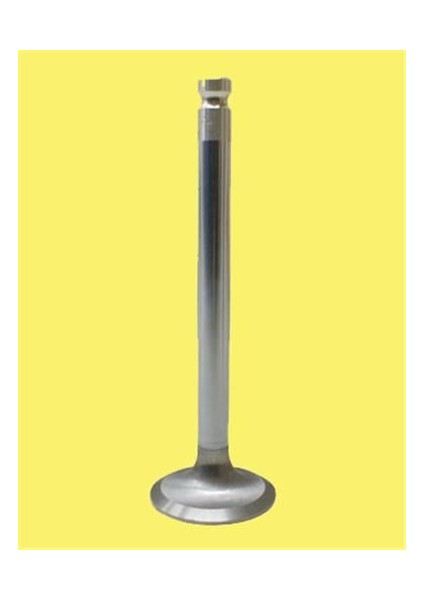 GNS-4566-4567 Subap Emme Eksoz P106 Gtı 16V In-8/ex-8