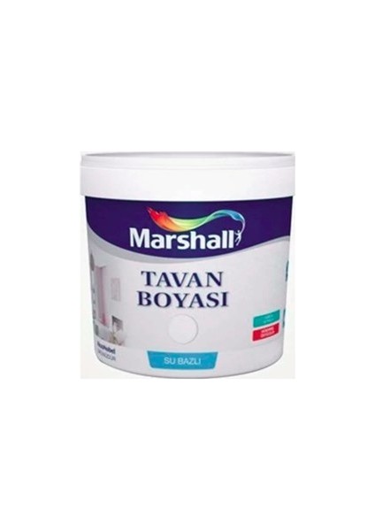 Tavan Boyası 17,5 kg