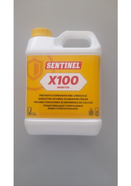 SENTİNELX100