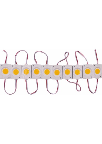 250 Lm 1,5 Watt Modül LED Gün Işığı (100 adet)