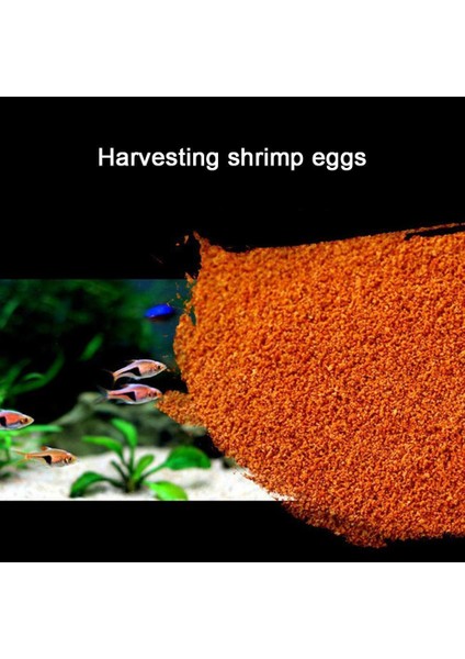 1 Adet Tarzı Torbalar Kuluçka Ücretsiz Karides Yumurta Hasat Yem Yemi Genç Doğum Tropikal Balık Soyma Salamura Karides Yumurtaları Tropikal Balık Yemi (Yurt Dışından) indirimleri